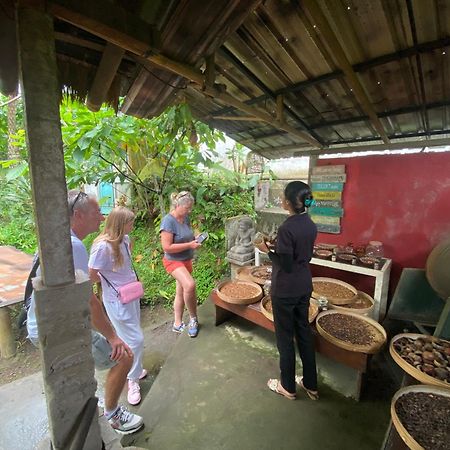 Badini Homestay Pemuteran  Exterior photo